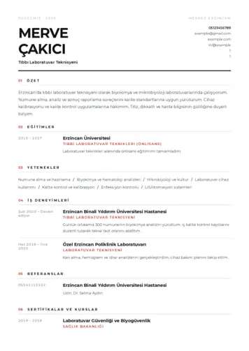 Laboratuvar Teknisyeni Cv Örnekleri cv indir